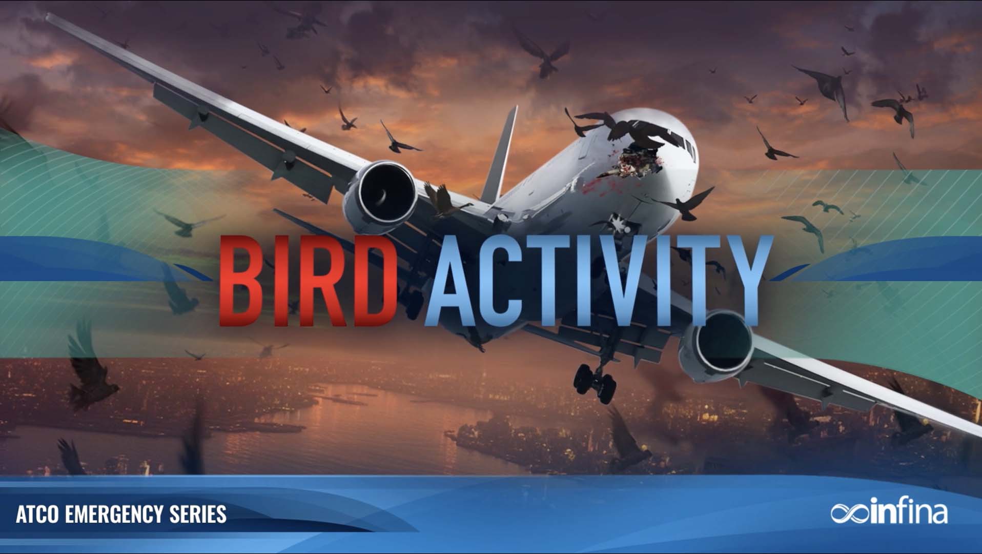 Emergencies: Bird Activity