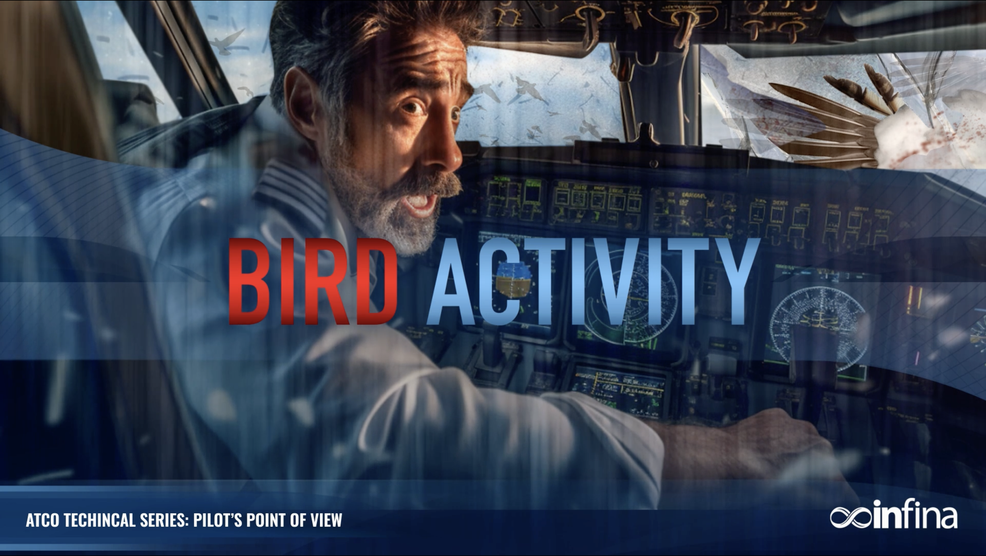For ATCOs from Pilots: Bird Activity